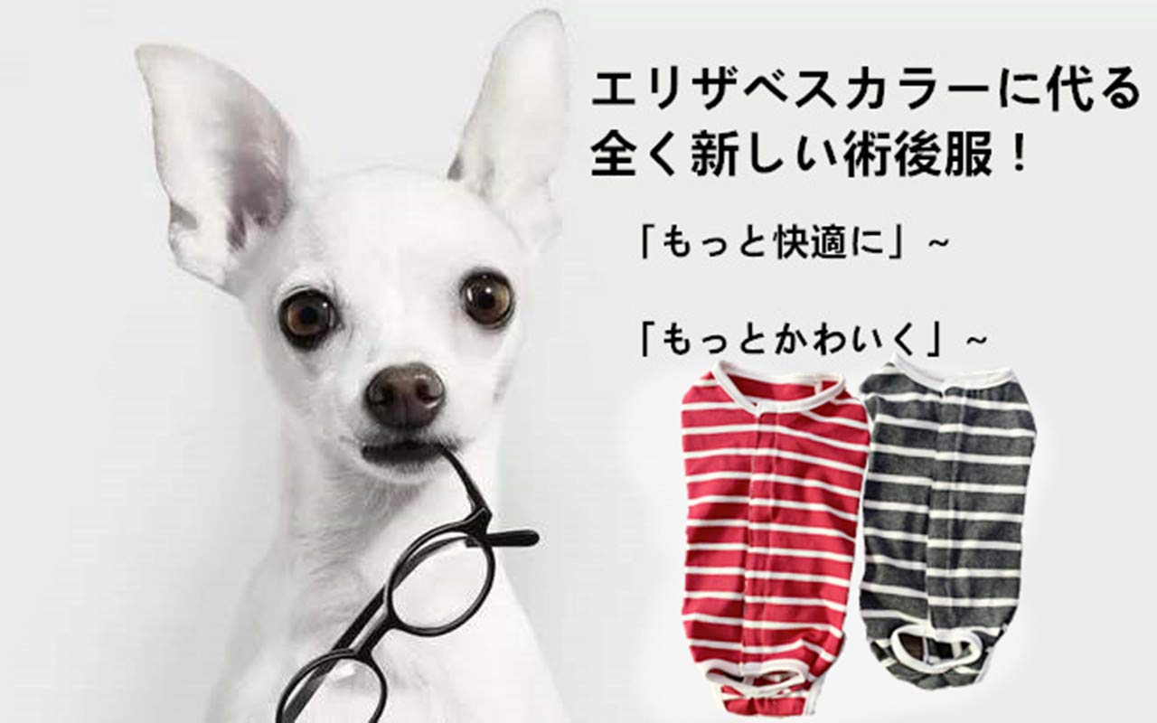 Amazon | 犬 術後ウェア 術後服 ワンちゃん 小型犬 保護服 傷舐め 傷口